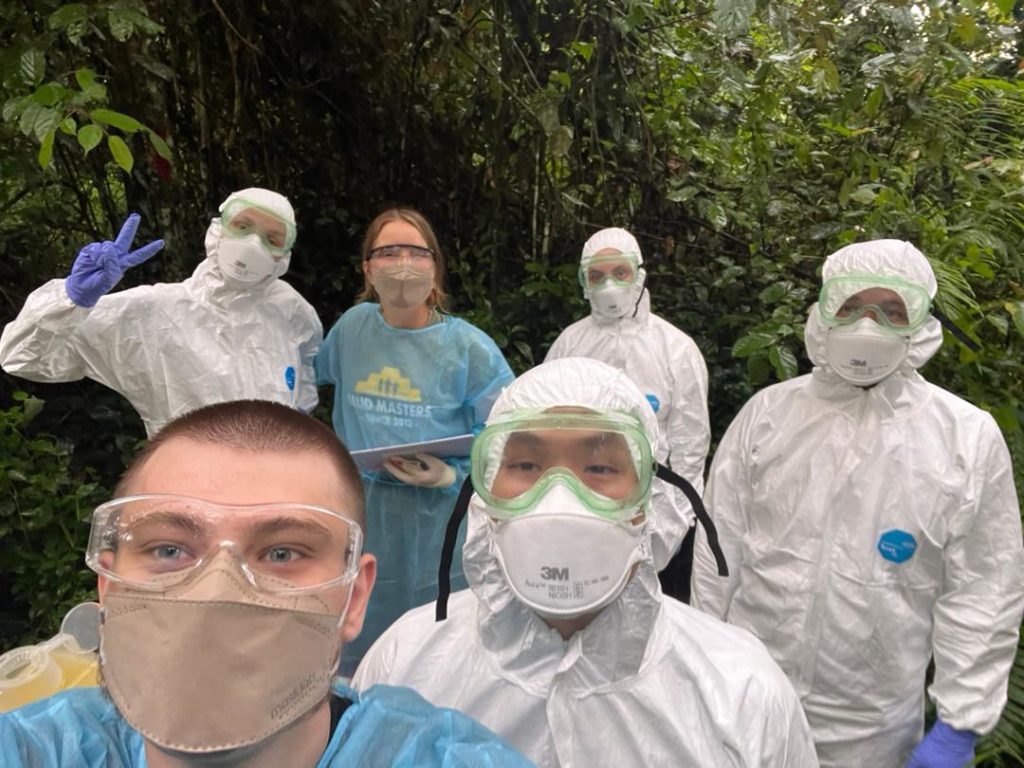 Pangolin project allows better understanding of viral transmissions