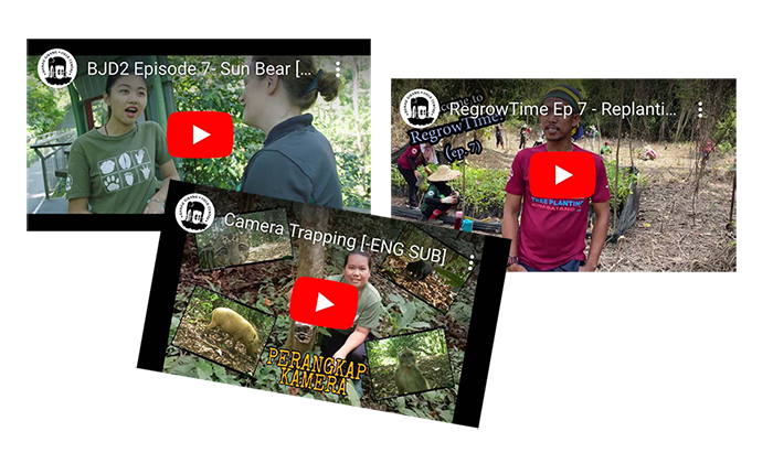 DGFC YT videos merged