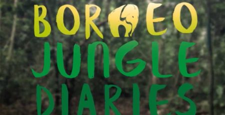 Borneo Jungle Diaries showcases the work of conservation scientists in the Kinabatangan, Sabah.
