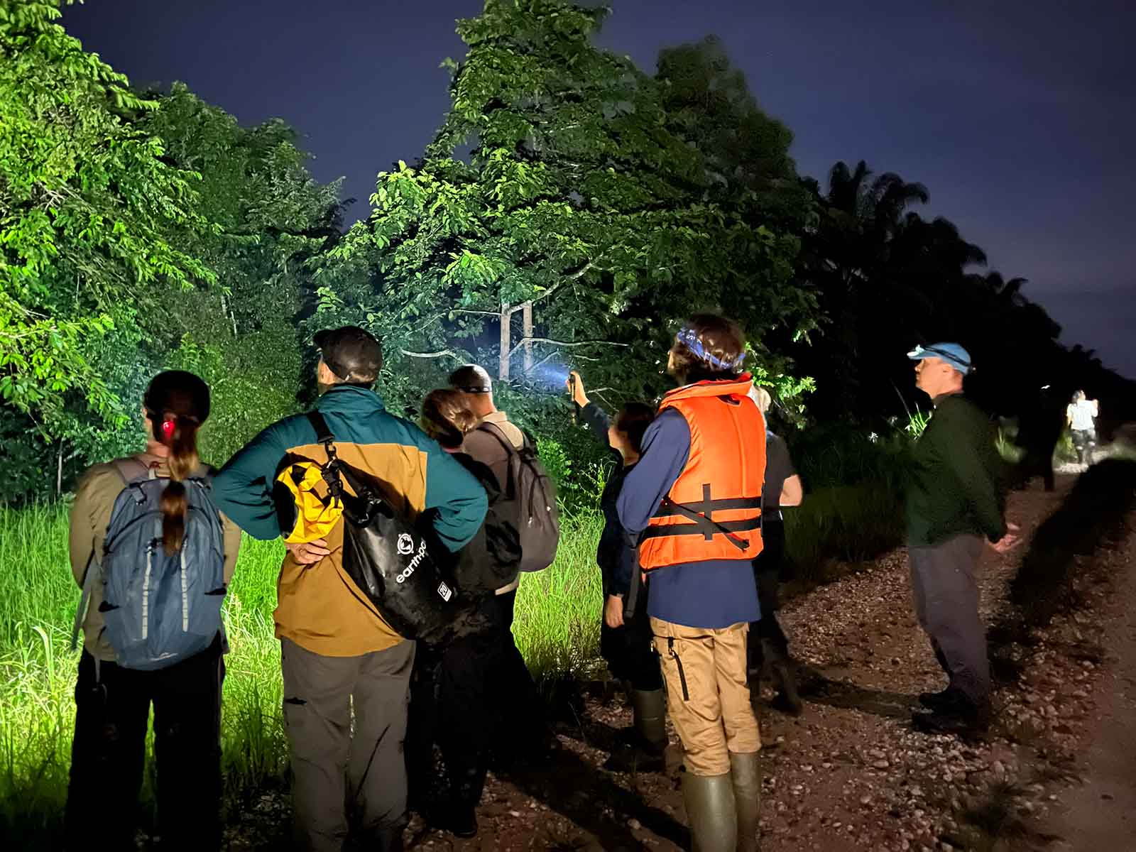 Royal Holloway Field Course students go on a night plantation walk Royal Holloway students at DGFC go on a night walk in a plantation