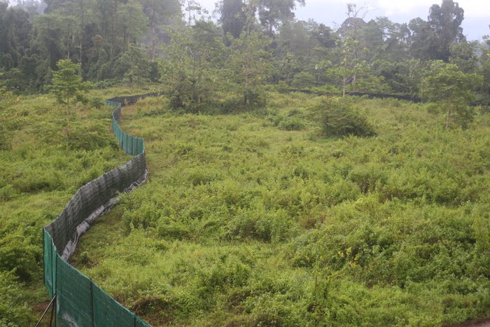 Boma from tower (1)
