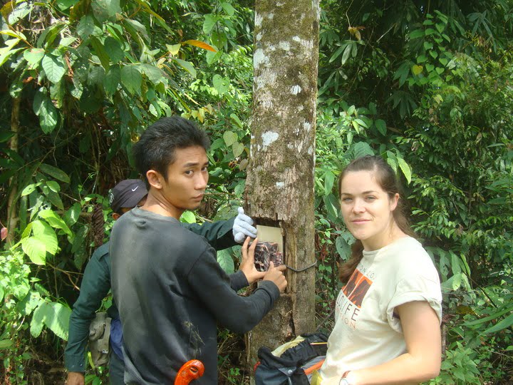 Camera trapping (1)