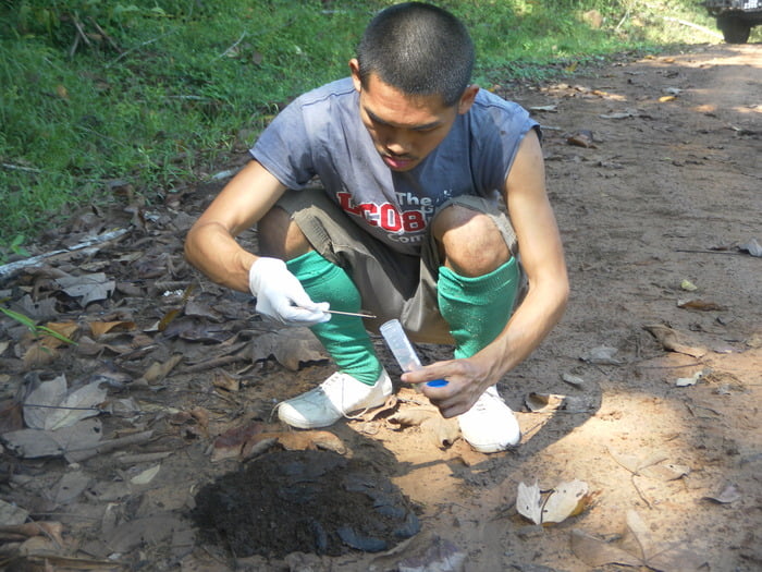 Collecting faecal DNA (2) (1)