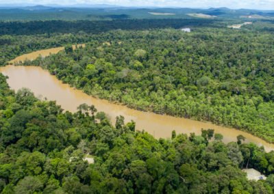 Save Kinabatangan