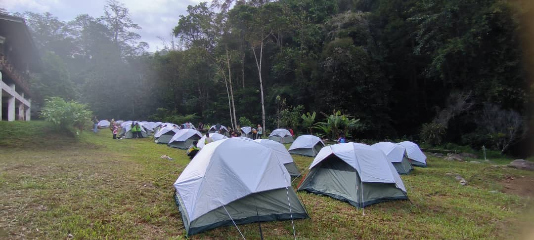 HONOR2 2024-Camping Mahua Rainforest Paradise, Crocker Range Park
